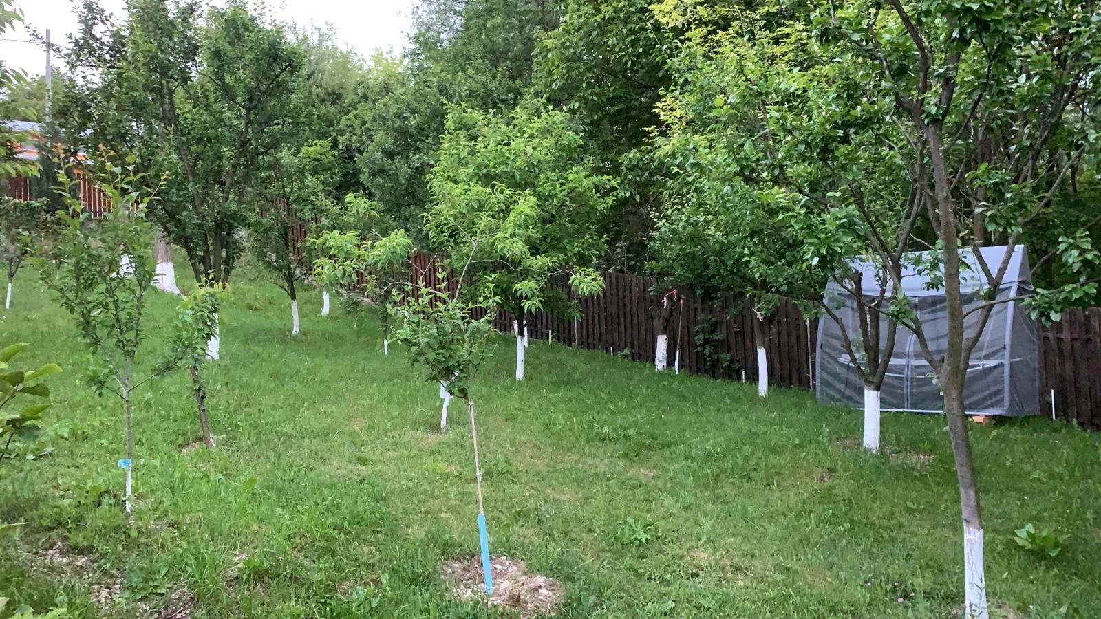 Curtea Casei Primăverii